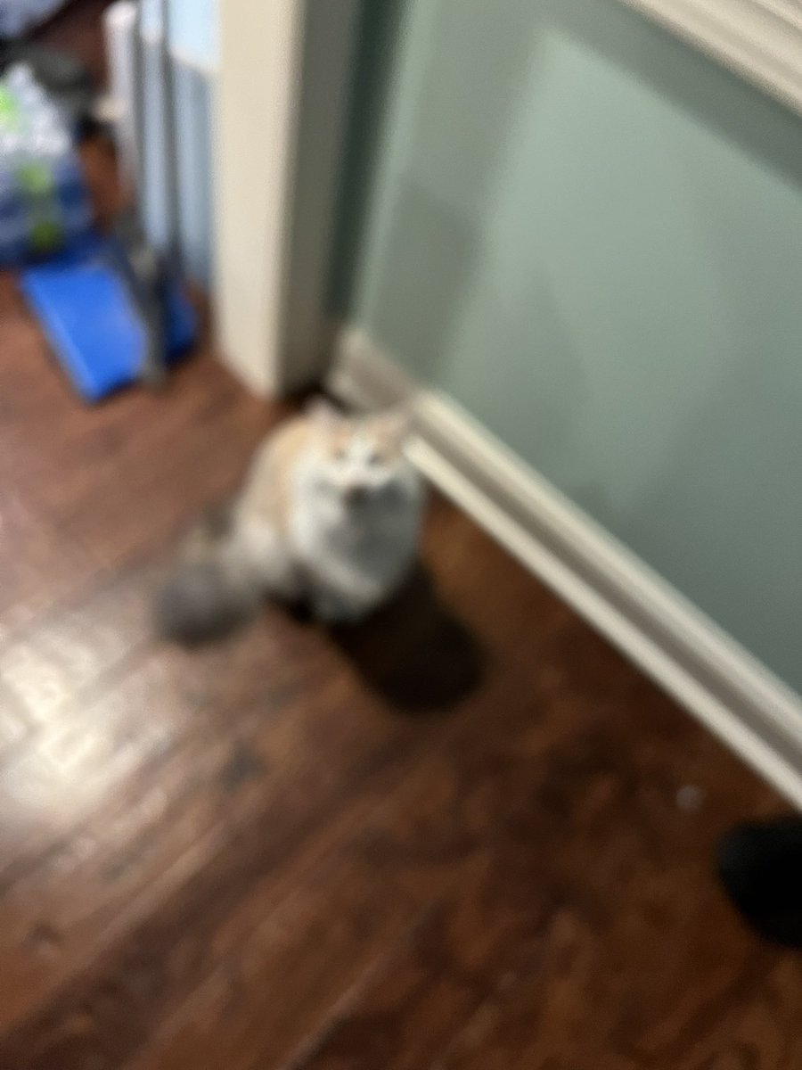 puddlesthecar's tweet image. 