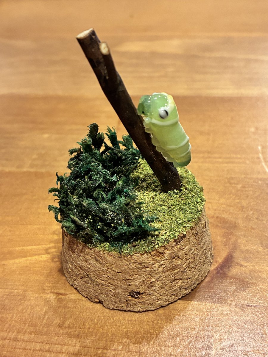 cassacosso's tweet image. かわいい💕
ガラスで作ったナミアゲハの幼虫と、ガラスで作ったトビムシをガラス瓶オブジェにしました☺️
たくさん並べたくなります♪
他の小さい虫たちのオブジェも瓶オブジェにして8/10の浜松町S&amp;amp;Bに持っていきます！