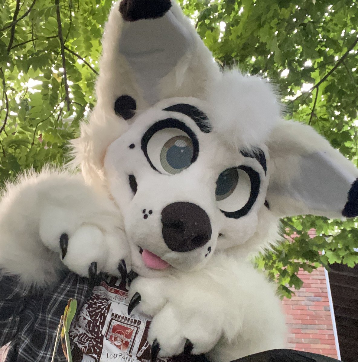 ABO𖥔 ݁ ˖🛸─ .✦ 🔜 FURNAL EQUINOX tweet media