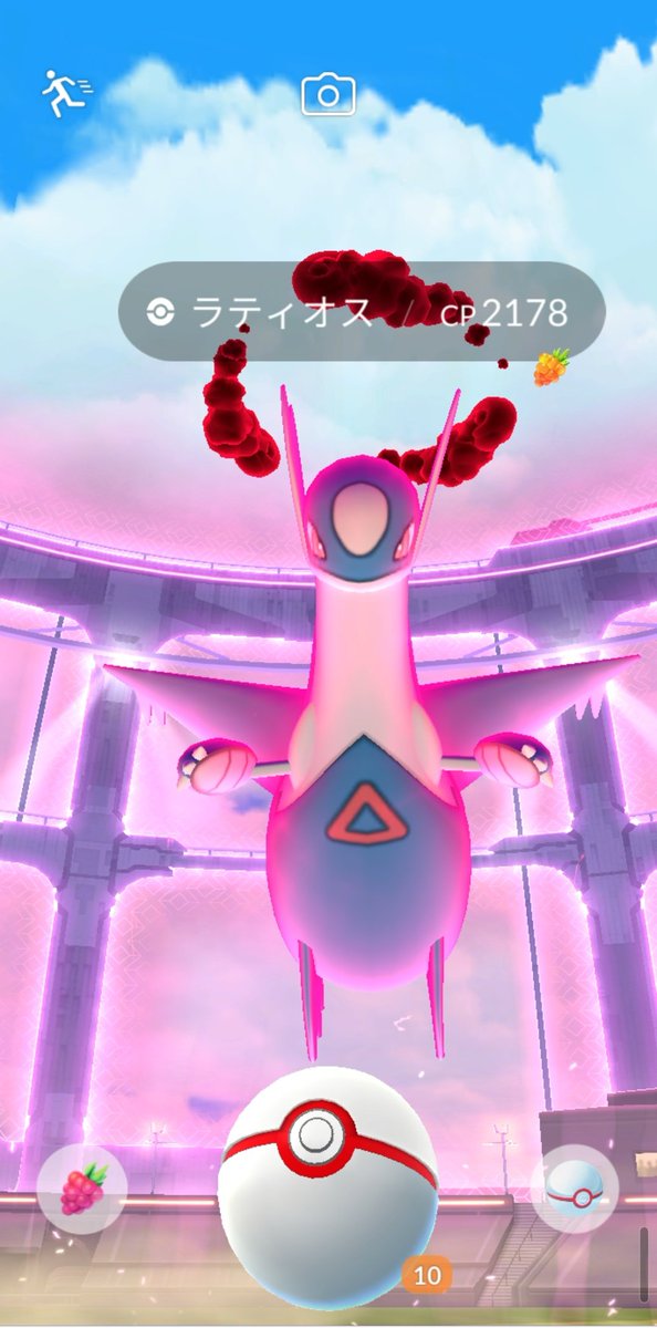 はるきち@もふもふ tweet media