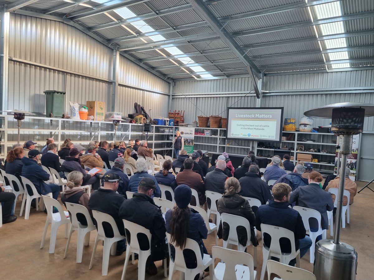 WALRC1's tweet image. That’s a wrap on Livestock Matters 2025! We finished up yesterday with a beef-focused forum on the Dowden’s property in Gingin, bringing together 90+ members of the livestock community from across the region. What a day! Thank you to all who came and contributed