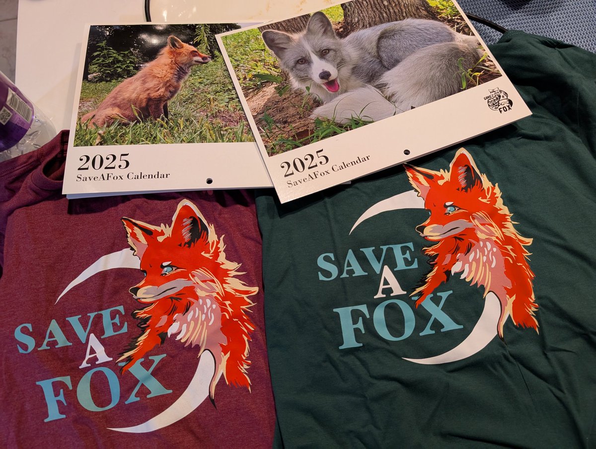 DashingZeeb's tweet image. Arrived safe and sound, thank you 
saveafox.org 

❤️ 🦊 💖