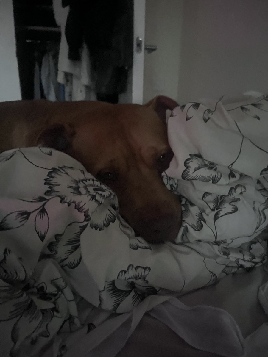 Fori4E's tweet image. Why you getting mad comfy for