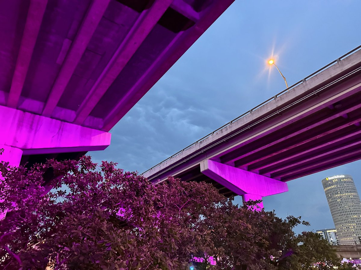 I think all this is purple for Kim Seokjin 🥹

#RUNSEOKJIN_epTOUR_TAMPA #RUNSEOKJIN_epTOUR_US