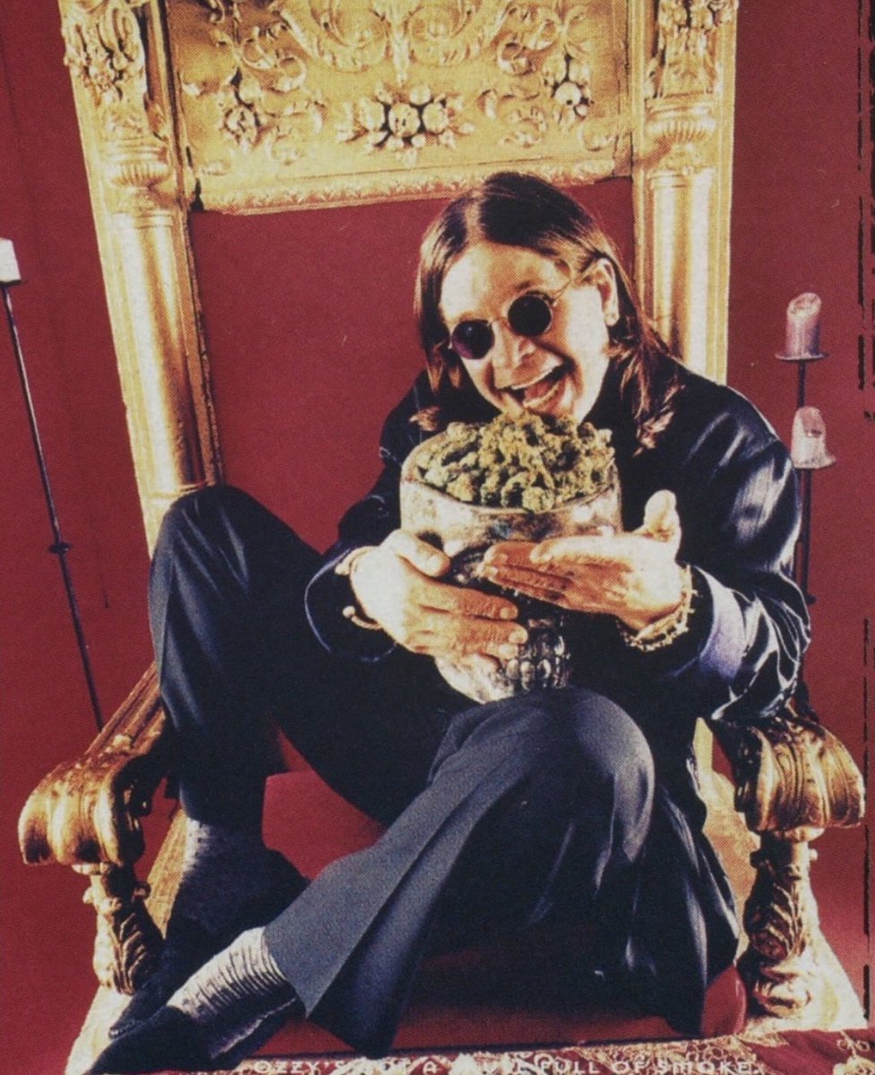 Girls in Green tweet media