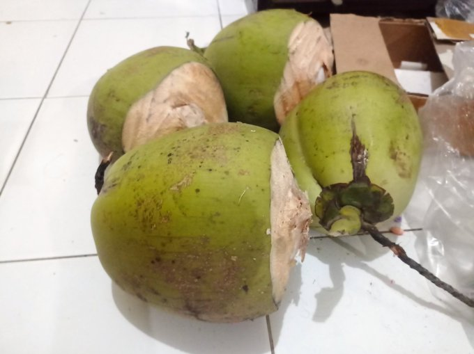 Michael_daGreat's tweet image. This birthday I received a nice wallet and perfume from my daughter.
My neighbor gave me 4 coconuts. I love the water from them, so this is going to be a good day.