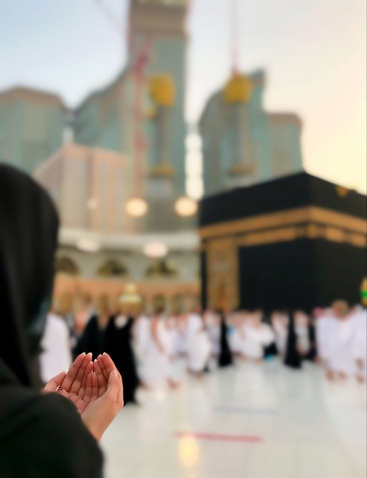 السلاَم عليْكُم ورحمَةاللهِ وبركاتُه
صبح بخیر 🌺🌹 
سخت کلامی کا جواب نرمی سے دینا بڑے کمال کی بات ہوتی ہے  اور برداشت کی یہ صلاحیت خوش نصیبوں کو ہی ملتی ہے
اے اللّه تو ہمیں توبہ کرنے والے ان خاص لوگوں میں شامل فرما جو تیری رضا کے آگے سر جھکاتے ہیں
آمین ثم آمین 🤲🏻