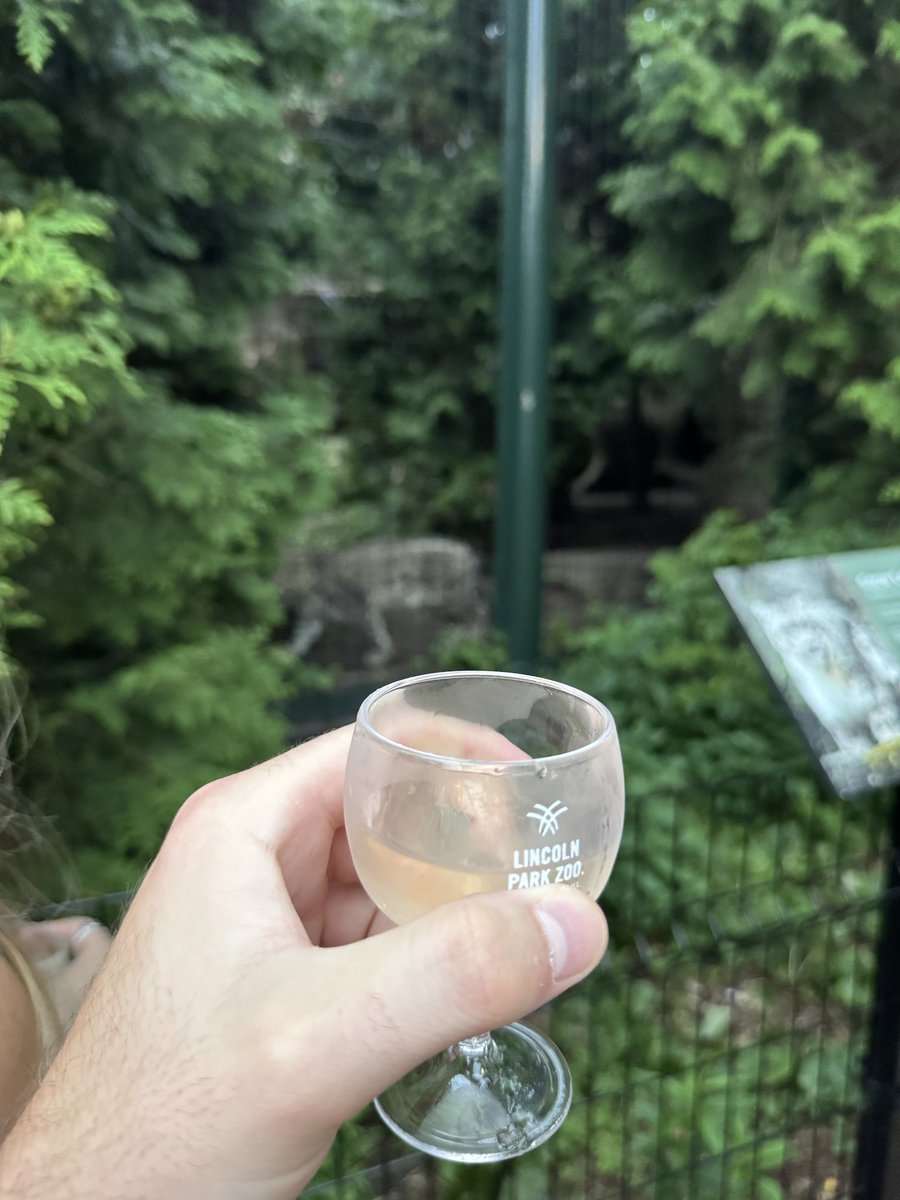 generalsteez69's tweet image. Drinking wine with Otters and Snow Leopards on this fine Friday evening