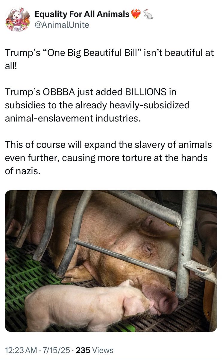 AnimalUnite's tweet image. In 2004, Donald Trump learned from @PETA fish have feelings, & observed with his own eyes how painful it is for fish to be hooked in the mouth. Rather than continue down a path of compassion, Trump became one of the biggest fascists around, and horrible on animal & human rights.