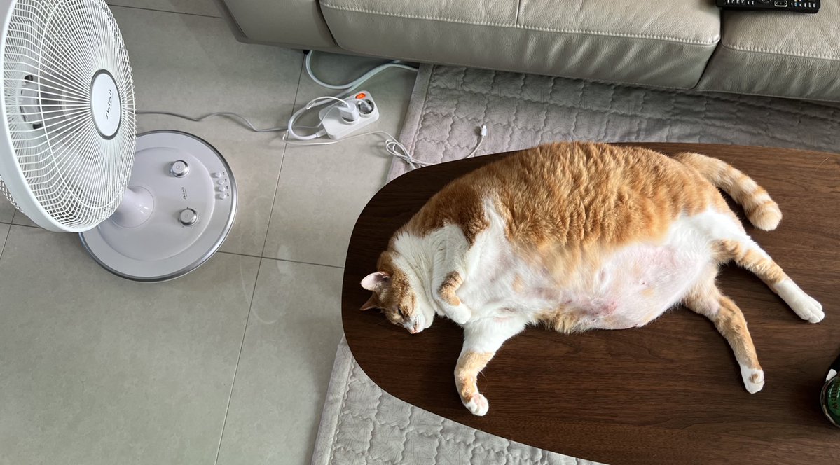 geumdong103's tweet image. 무더운 여름을 보내는 방법