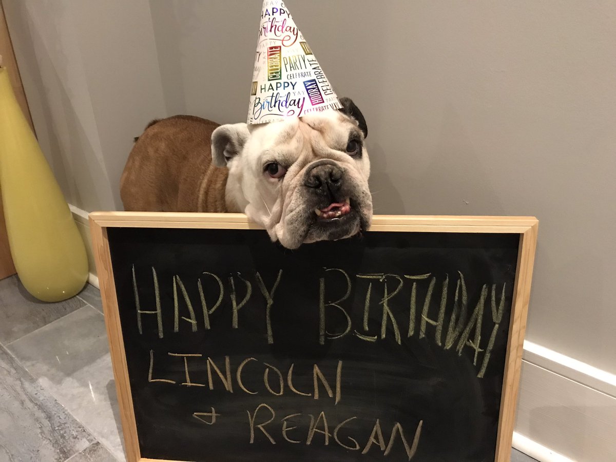Lil_Fen's tweet image. Happy Birthday Lincoln &amp;amp; Reagan @DogsRAngels1 
🎉🎉🎉🎂🎁