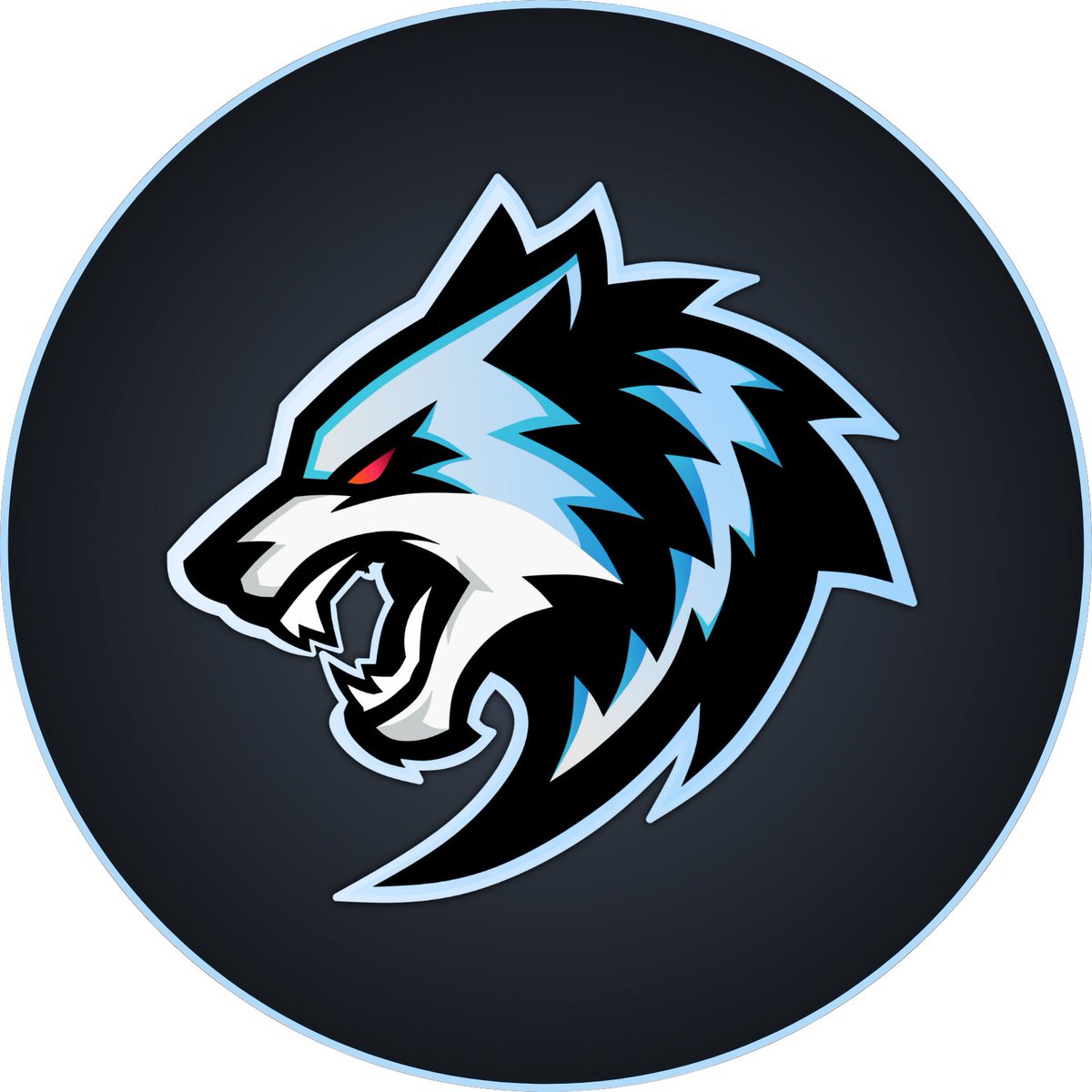 ELWolfPRX's tweet image. ELWolfPRX kick.com/elwolfprx En @KickCommunity @KickEspanol 1080 @ 60 fps