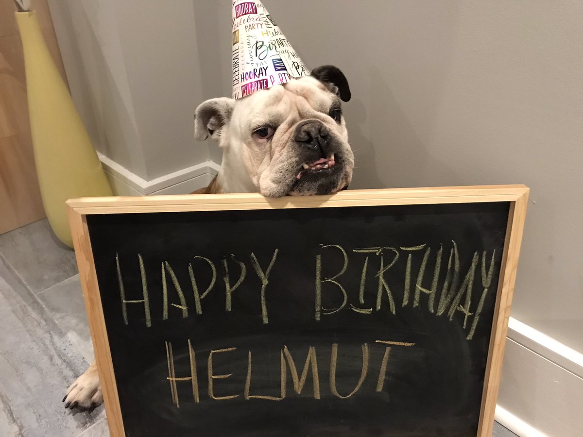 Lil_Fen's tweet image. Happy Birthday Helmut @McDougallMartha 
11 is AWESOME!
🥳🥳🥳🎂🎁