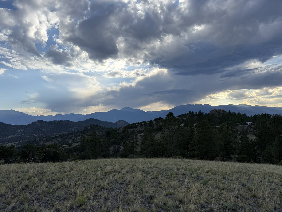 BianchiWeather's tweet image. Hello from (near) Buena Vista!

#COwx