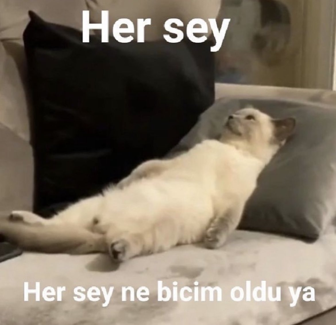 ANLIK (@anlikmod) on Twitter photo 