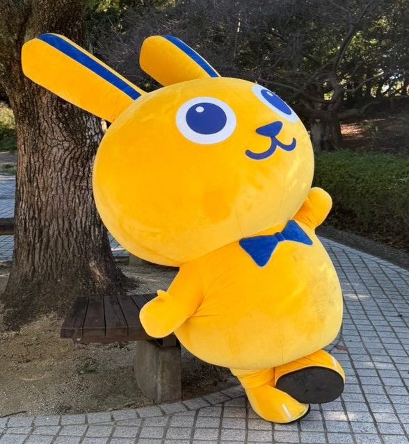 heiwanahikari's tweet image. 皆さん参院選はお疲れさまでした
まぁ、いろいろあるけどゆるっと行こまい
毎日暑いから体調気をつけてね🐰
#こくうさガチ勢と繋がりたい