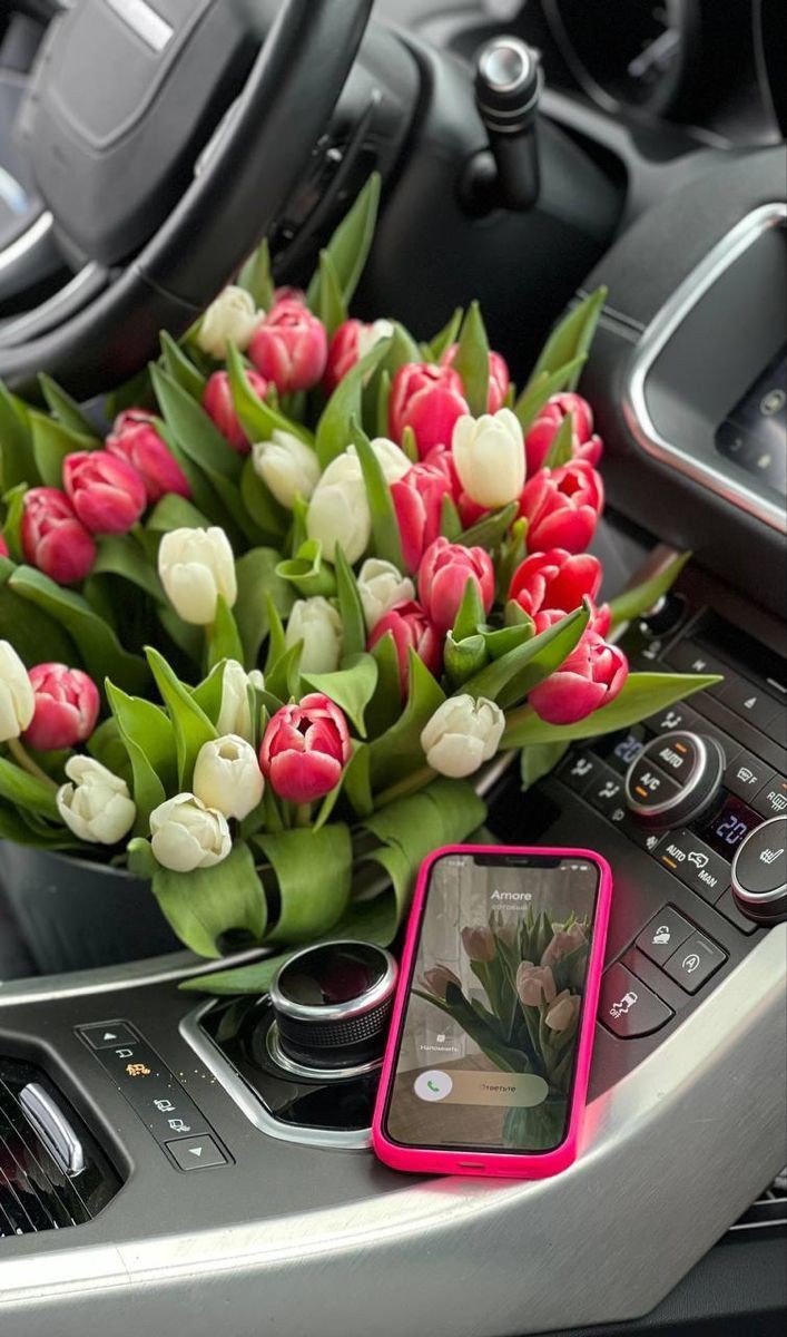 🌻🌷Mariana Fabiola🌷🌻 (@marifa05) on Twitter photo <a href="/Sude0028/">✿Naz ♥‿♥✿</a> <a href="/sinan525/">ayhan sevinç</a> <a href="/Da__Eliz/">Eli👸</a> <a href="/halconavicencio/">🌹❤️ELENA MIRANDA V.❤️🌹#E̲l̲e̲M̲i̲r̲a̲n̲d̲a̲</a> <a href="/KaraAyhan01/">KaraAyhan</a> <a href="/Venus__2023/">Venus</a> <a href="/IreneVarMex/">𝕚𝕣𝕖𝕟𝕖 🜲</a> <a href="/papiko7890/">ぱぴこ❤</a> <a href="/Sinan256as/">A.Sevinç</a> <a href="/_MaryEly_/">💛 𑜞᭄ MaryEly🌻</a> <a href="/mamiRD_/">🇩🇴mamiRD_ #LoveDeMami❤ AmigosDe❤</a> <a href="/sungelin/">Sarı gelin</a> <a href="/cknlaw1/">🌐ニシ🍥⚖️</a> <a href="/SsaSM7/">🎶سوسو 🎶</a> <a href="/tg0936/">大いいホークス</a> <a href="/dudub37/">Eduardo</a> <a href="/OdriSeva/">Odri Seva</a> <a href="/Sc2017W/">SC2017</a> <a href="/KaishiTask/">taKKay👽</a> <a href="/tuncaycaki/">TU 🈂️ modbronze</a> <a href="/nena_bovb51/">Nena</a> <a href="/Spencerjames211/">Spencer James #GAINWITHPETAL #TMPETAL #Teamspirit</a> ヾ╲(。◕‿◕。)╱✿・゚:✲✿・゚:✲✿・゚:✲
...εïз ✿*🌸🦋..
🆃🅷🅰🅽🅺 :
* 🆈🅾🆄🥰
My dear friend, for your
beautiful mention,
have a nice weekend.🌷🌷
🌸✿・゚:✲<a href="/Sude0028/">✿Naz ♥‿♥✿</a>♥️
🌸✿・゚:✲🌸
✿・゚:✲🌸#KaraAmbargroup💕
✿・゚:✲タ━━━━。゚+✿・゚:✲✿・゚:✲ <a href="/Sude0028/">✿Naz ♥‿♥✿</a> <a href="/sinan525/">ayhan sevinç</a> <a href="/Da__Eliz/">Eli👸</a> <a href="/halconavicencio/">🌹❤️ELENA MIRANDA V.❤️🌹#E̲l̲e̲M̲i̲r̲a̲n̲d̲a̲</a> <a href="/KaraAyhan01/">KaraAyhan</a> <a href="/Venus__2023/">Venus</a> <a href="/IreneVarMex/">𝕚𝕣𝕖𝕟𝕖 🜲</a> <a href="/papiko7890/">ぱぴこ❤</a> <a href="/Sinan256as/">A.Sevinç</a> <a href="/_MaryEly_/">💛 𑜞᭄ MaryEly🌻</a> <a href="/mamiRD_/">🇩🇴mamiRD_ #LoveDeMami❤ AmigosDe❤</a> <a href="/sungelin/">Sarı gelin</a> <a href="/cknlaw1/">🌐ニシ🍥⚖️</a> <a href="/SsaSM7/">🎶سوسو 🎶</a> <a href="/tg0936/">大いいホークス</a> <a href="/dudub37/">Eduardo</a> <a href="/OdriSeva/">Odri Seva</a> <a href="/Sc2017W/">SC2017</a> <a href="/KaishiTask/">taKKay👽</a> <a href="/tuncaycaki/">TU 🈂️ modbronze</a> <a href="/nena_bovb51/">Nena</a> <a href="/Spencerjames211/">Spencer James #GAINWITHPETAL #TMPETAL #Teamspirit</a> ヾ╲(。◕‿◕。)╱✿・゚:✲✿・゚:✲✿・゚:✲
...εïз ✿*🌸🦋..
🆃🅷🅰🅽🅺 :
* 🆈🅾🆄🥰
My dear friend, for your
beautiful mention,
have a nice weekend.🌷🌷
🌸✿・゚:✲<a href="/Sude0028/">✿Naz ♥‿♥✿</a>♥️
🌸✿・゚:✲🌸
✿・゚:✲🌸#KaraAmbargroup💕
✿・゚:✲タ━━━━。゚+✿・゚:✲✿・゚:✲