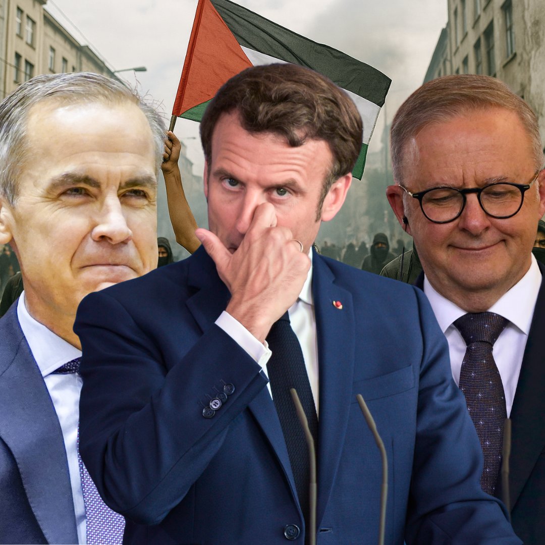 Hananya Naftali tweet media