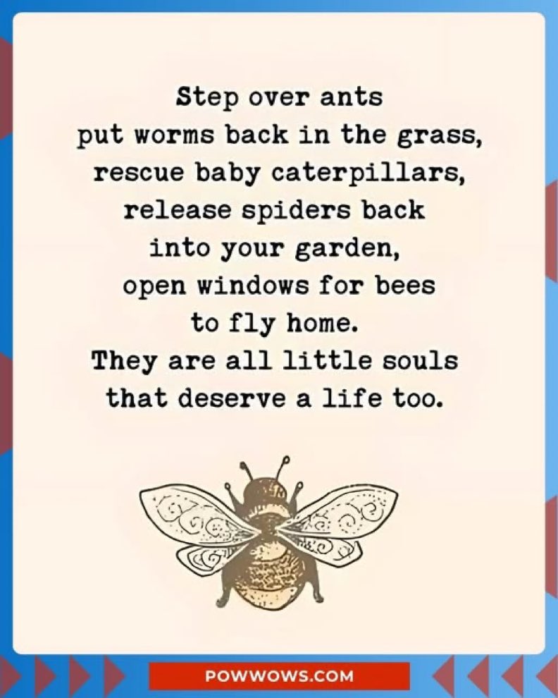 AnimalUnite's tweet image. 🐛 🦋🐝 💕🕷️ 🐜