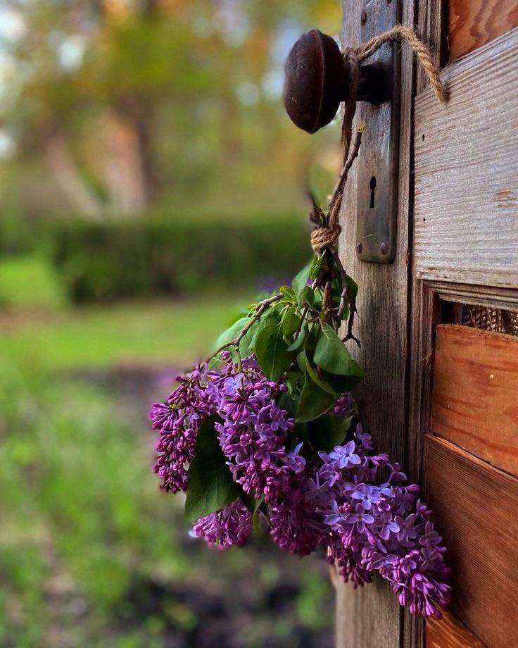 maria_fragata's tweet image. Good morning! 💜