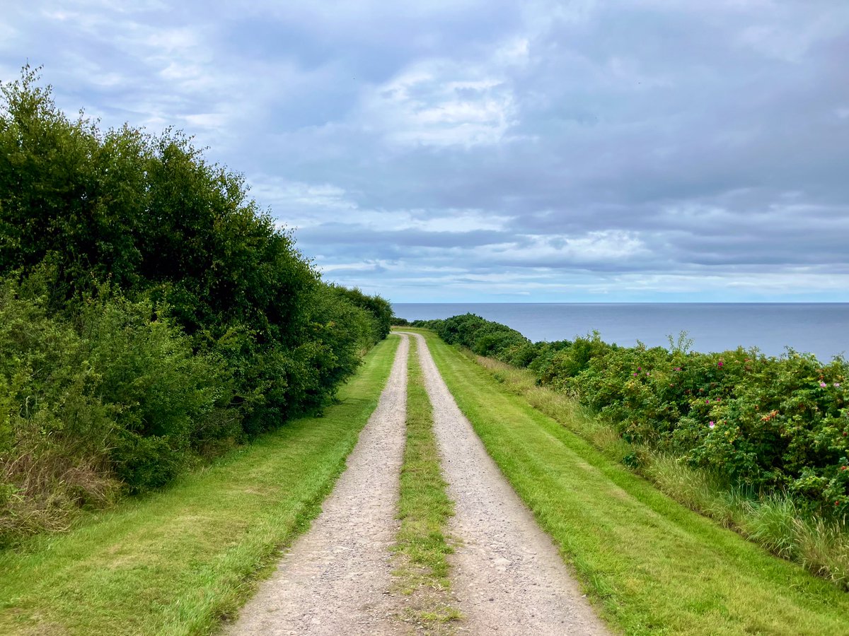 Road with a view… 

Enjoy your weekend