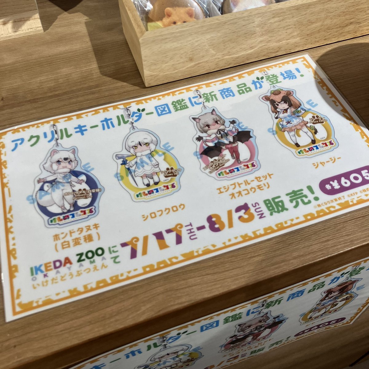 LOVE_IKEDAZOO's tweet image. 【完売のお知らせ】
限定販売中でした
『アクリルキーホルダー図鑑』の
『ホンドタヌキ(白変種)』が
先程完売いたしました

#池田動物園　#けものフレンズ3  #けものフレンズ