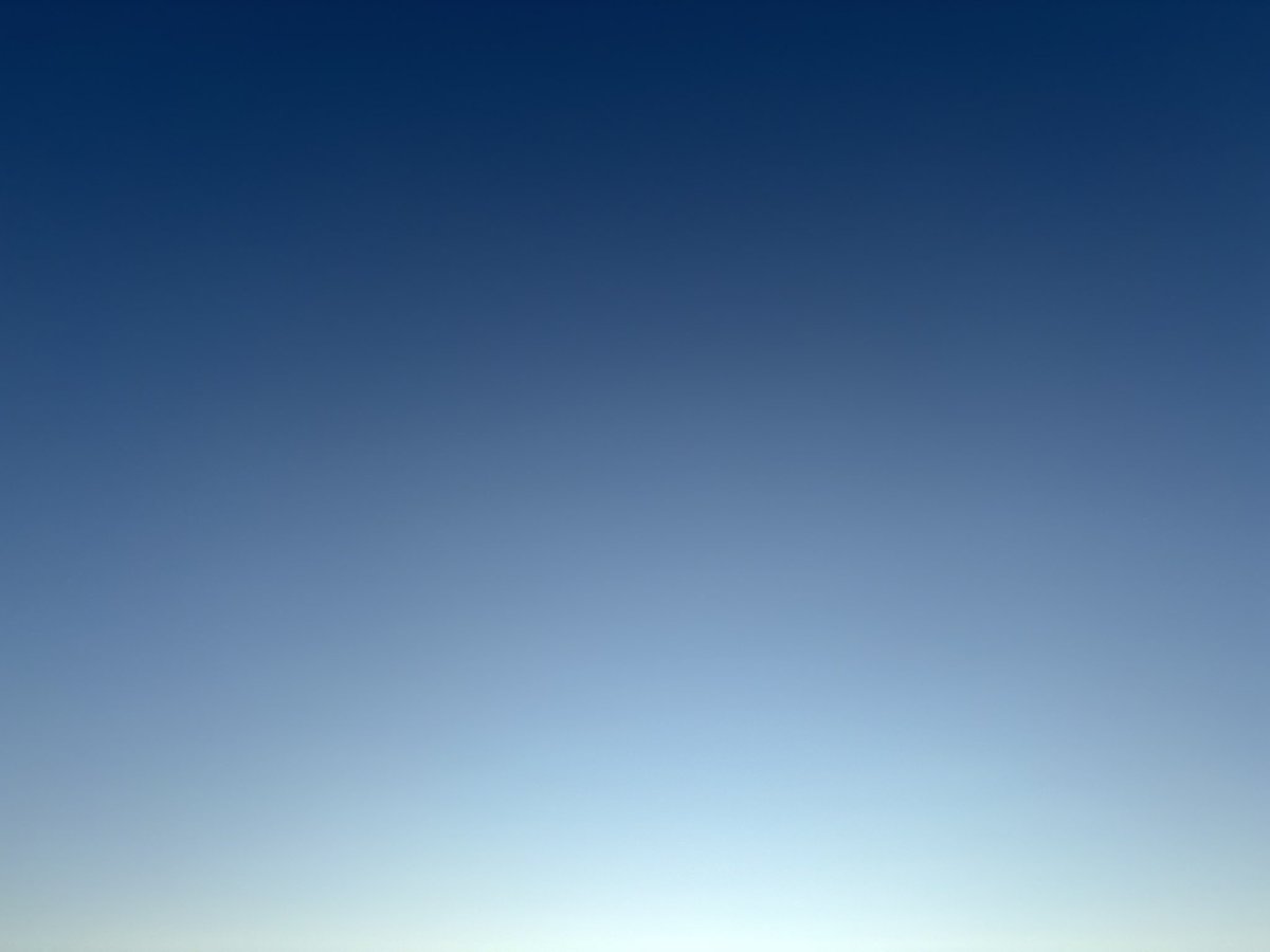 zetalyrae's tweet image. Good evening