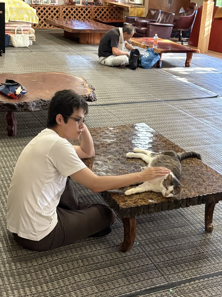 NotAtAllHead's tweet image. 温泉🐈‍⬛