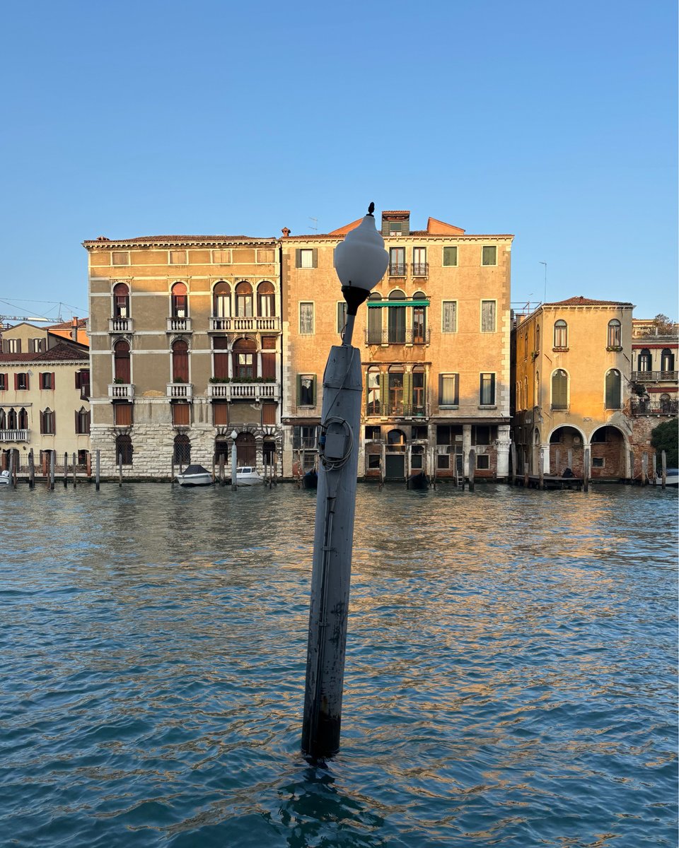 IntrecciVE's tweet image. Sul Canal Grande #venezia #venice #veneziagram #igersvenezia #veneziadavivere #venise #tourguide #travel #travelgram #guidetouristique