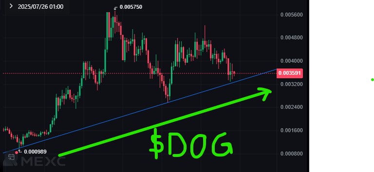 Soblin07's tweet image. If it’s not a Slow Cook — it’s a SCAM!
Slow Cook Movement coins will DOMINATE over the next 6 months.
The road to the moon is not a straight line
Hodl your $DOG!!!!!!!!!!!!