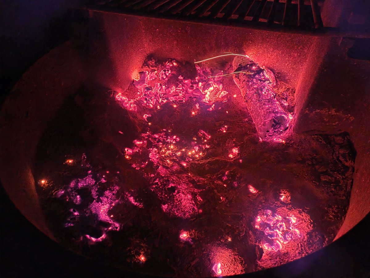 This is where I am, literally right now 🏕