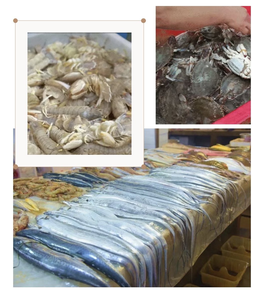 yugaoxin11's tweet image. 黄河边的渔民凌晨撒网，运河畔的船家精于河鲜，渤海湾的渔人踏浪而归，勤劳让每一份水产都鲜得地道。