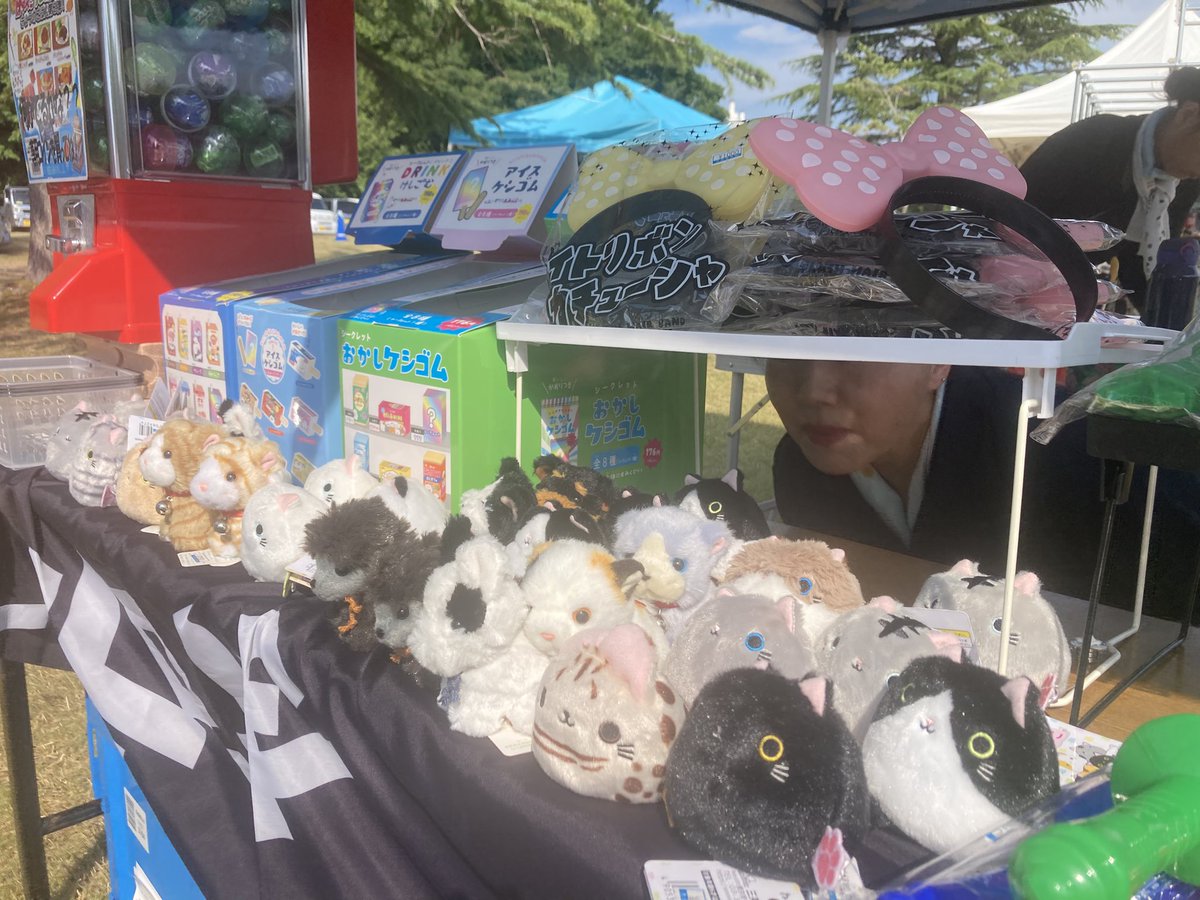 otanibusiness's tweet photo. 準備完了！

 #さんわ祭り https://t.co/8XnV7fWKt1