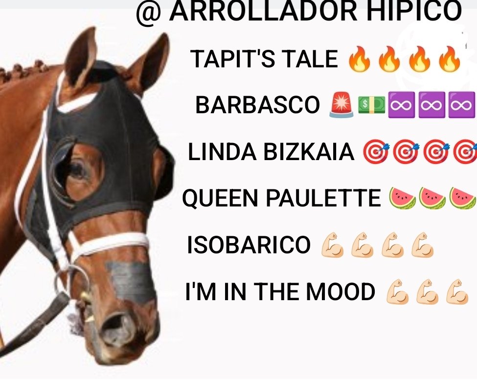 Fernando Diaz (@arolladorhipico) on Twitter photo ASI ME GUSTAN <a href="/ALMAROSO/">ALMAROSO</a> <a href="/_Conversatorio_/">Conversatorio Hípico</a> <a href="/EnzoStanchieri/">Enzo S.</a> <a href="/Ervinherrera26/">Ervin José Herrera</a> <a href="/JESSGARCAMENDO4/">@MedicenRojo1990</a> <a href="/AlexisBogarin/">Alexis Guerrero Bogarín ® El Guerrero Mayor</a> <a href="/jeanmaire280285/">👑 ℓα мυи̃єϲα ∂єℓ нιριѕмο 👑</a> <a href="/mastercoita/">MÁSTERCOITA</a> <a href="/sukoyhipico/">@sukoyhipico</a> <a href="/guaricuco4742/">El Verdugo@guaricuco4742</a> <a href="/Guaro_Hipico/">GANADORES DE ALTURA</a> <a href="/SilvaElegua/">Explosivo Hípico</a> <a href="/marrpacheco/">rafael pacheco</a> <a href="/LedezmaJC/">Juan Carlos Ledezma B</a> <a href="/jesusoropezaeg2/">jesusoropezaega</a> <a href="/AnnaAuthentic18/">Anna 💎Authentic18🐎</a> <a href="/m_estiben/">𝕏 Estiben Hernández </a> <a href="/jomancast/">PEPEILLO</a> <a href="/moisesapr/">Moisés Pimentel®</a> ASI ME GUSTAN <a href="/ALMAROSO/">ALMAROSO</a> <a href="/_Conversatorio_/">Conversatorio Hípico</a> <a href="/EnzoStanchieri/">Enzo S.</a> <a href="/Ervinherrera26/">Ervin José Herrera</a> <a href="/JESSGARCAMENDO4/">@MedicenRojo1990</a> <a href="/AlexisBogarin/">Alexis Guerrero Bogarín ® El Guerrero Mayor</a> <a href="/jeanmaire280285/">👑 ℓα мυи̃єϲα ∂єℓ нιριѕмο 👑</a> <a href="/mastercoita/">MÁSTERCOITA</a> <a href="/sukoyhipico/">@sukoyhipico</a> <a href="/guaricuco4742/">El Verdugo@guaricuco4742</a> <a href="/Guaro_Hipico/">GANADORES DE ALTURA</a> <a href="/SilvaElegua/">Explosivo Hípico</a> <a href="/marrpacheco/">rafael pacheco</a> <a href="/LedezmaJC/">Juan Carlos Ledezma B</a> <a href="/jesusoropezaeg2/">jesusoropezaega</a> <a href="/AnnaAuthentic18/">Anna 💎Authentic18🐎</a> <a href="/m_estiben/">𝕏 Estiben Hernández </a> <a href="/jomancast/">PEPEILLO</a> <a href="/moisesapr/">Moisés Pimentel®</a>