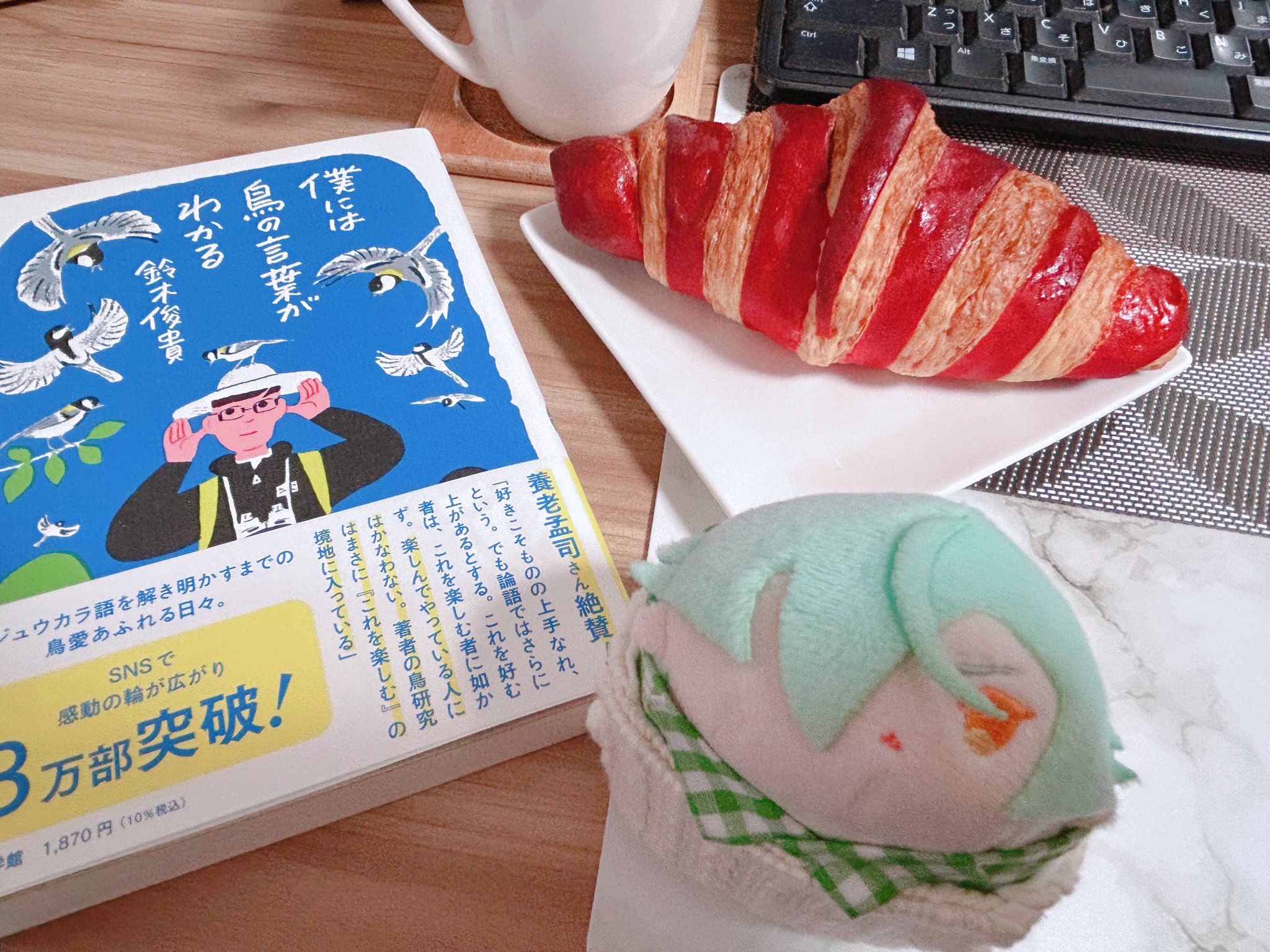 【まる】ことりのおおきなあそびば 2025年最新】#ことりのあそびばmadebymomoの人気アイテム - メルカリ