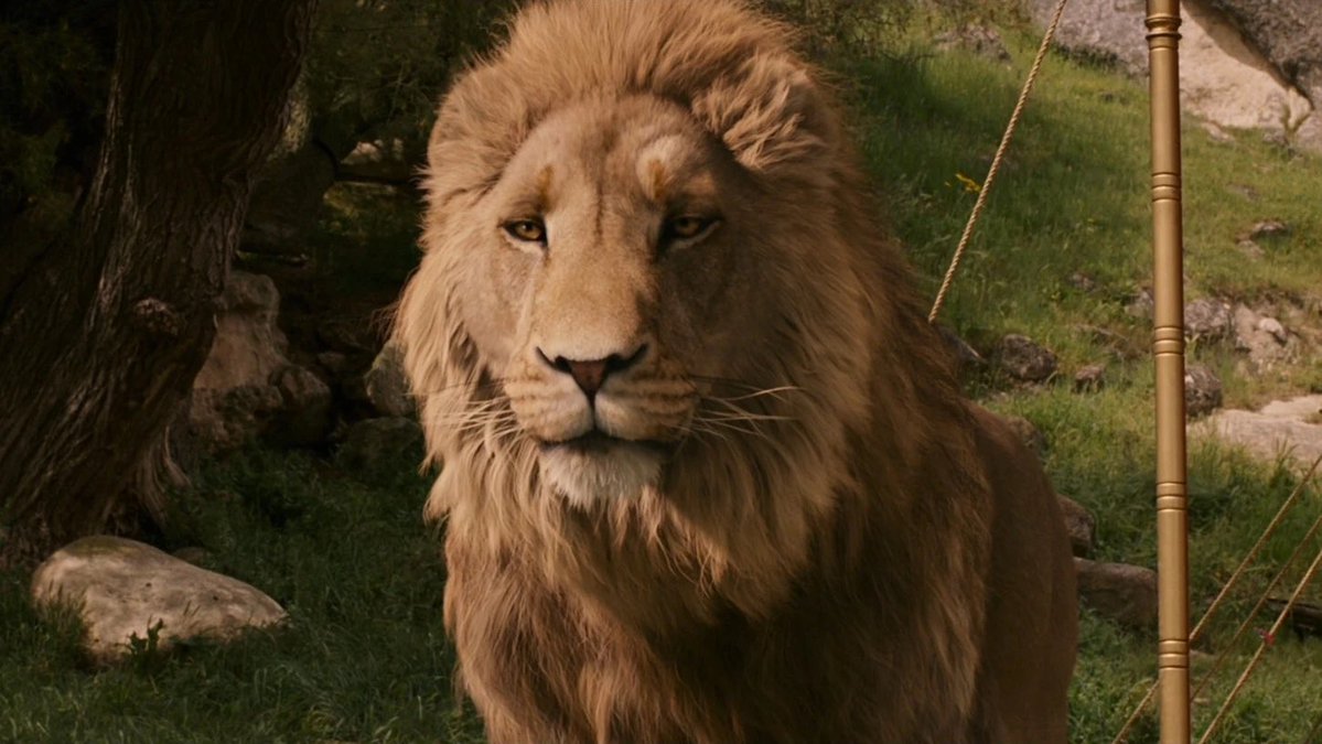 tritlo's tweet image. Guy who has only read the Bible, reading Chronicles of Narnia: Getting a lot of 'Bible' vibes from this...