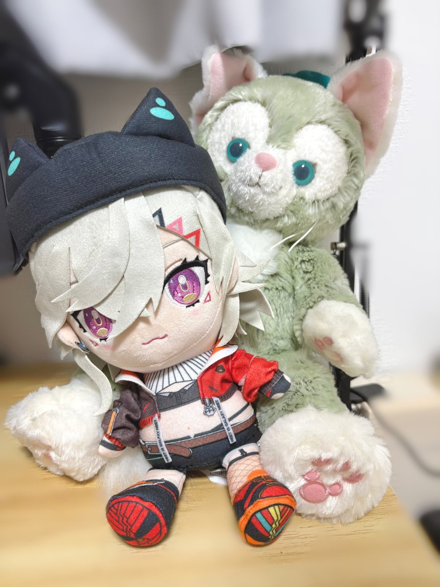 めとぬい届いたからジェラの前に置いてみたら超可愛かった！
 #小森めと