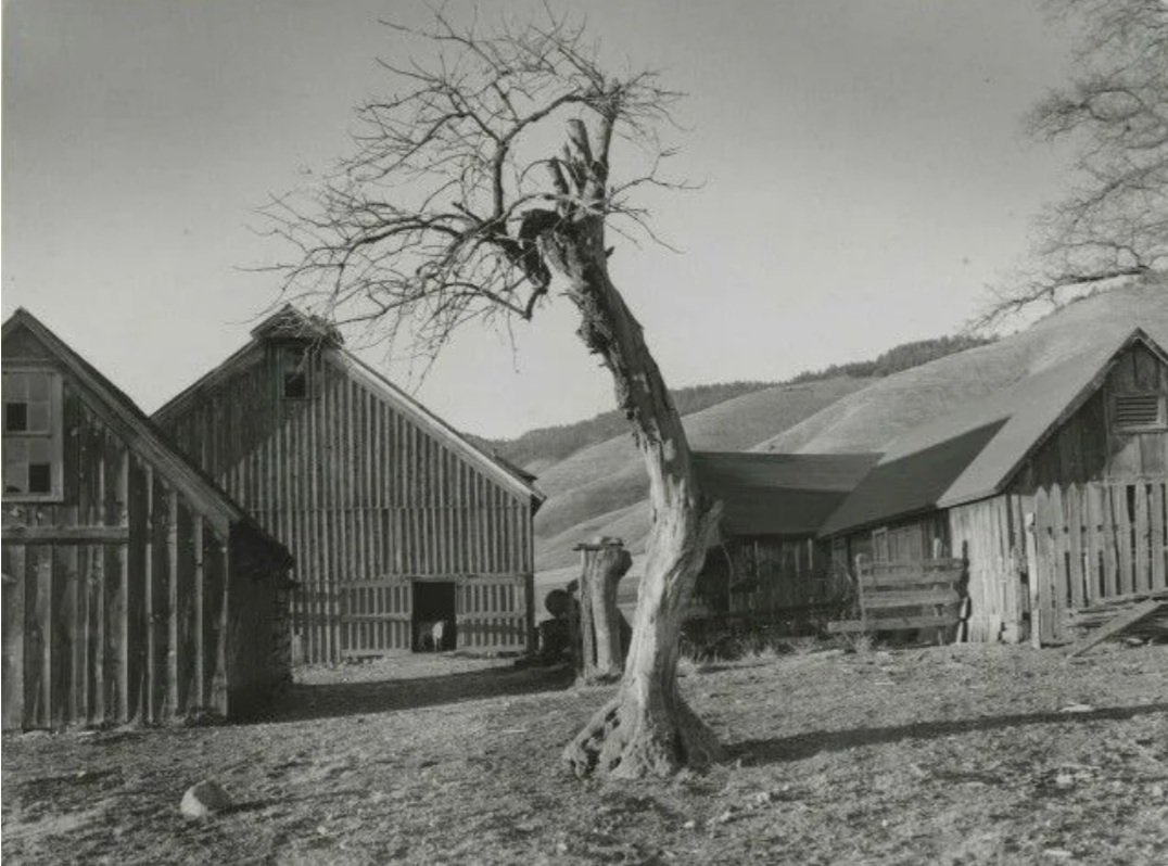 sandrag926's tweet image. Minor White. Happy Farmyard, Grande Ronde Valley, Oregon. 1941.