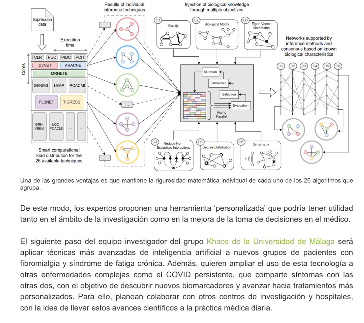 sombradoble's tweet photo. La #InteligenciaArtificial para pelear con la #FM y la #EMsfc‼️
En colaboración, @InfoUMA (A. Segura) y @UCV_svm (K. García), desarrollan un sistema ‘inteligente’ que analiza los genes implicados en enfermedades complejas como la #fibromialgia, la #EncefalomielitisMiálgica, … ampliable a #LongCOVID.
BIO-INSIGHT (@khaosresearch @itis_uma) aplica hasta 26 técnicas de #IA para explorar interacciones genéticas.
En @FDescubre👇
https://t.co/mYaEoJcNgh