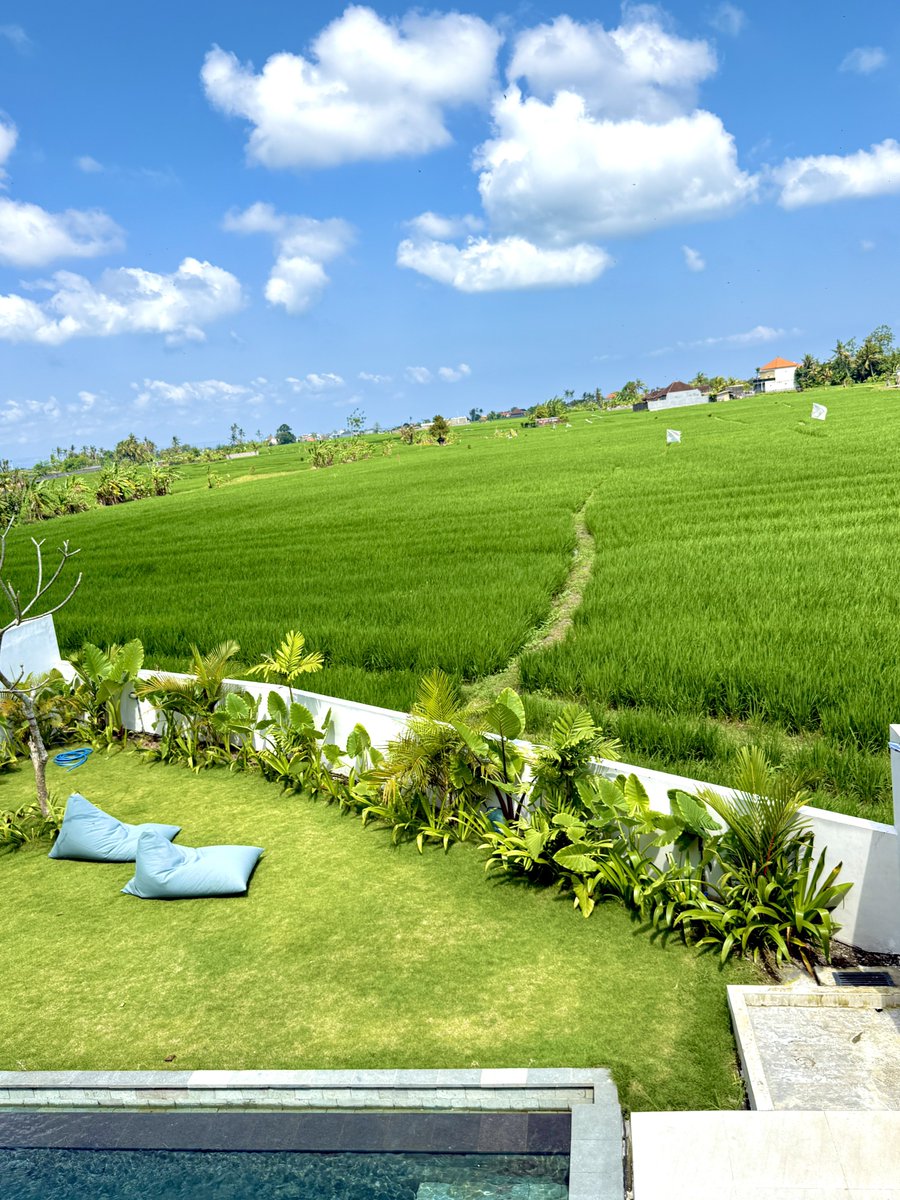 David Frank tweet media