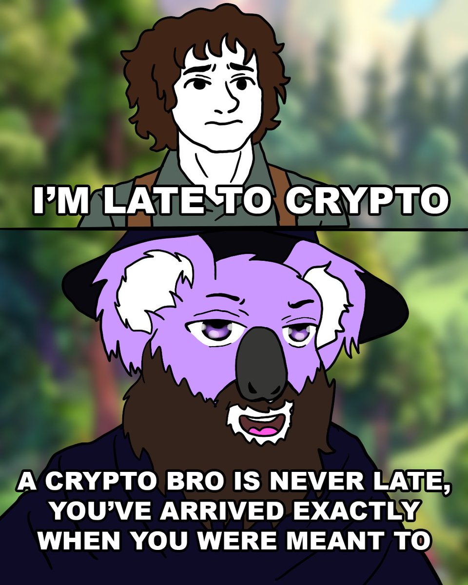 Eternal Koalas tweet media