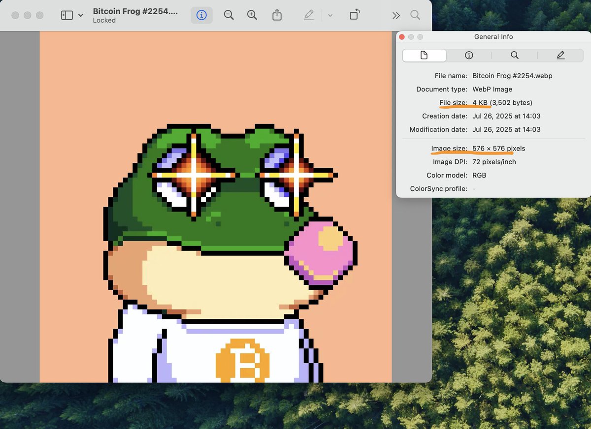 Why 4KB &amp; 576×576 pixels?
<a href="/BitcoinFrogs/">Bitcoin Frogs 比特蛙</a> aren't just cute — they're pixel-level rebellions.
Square. Clean. On-chain.
Every frog fits in 4KB, yet packs cyberpunk attitude, cryptopunk roots, and pixel artistry.
Minimal data. Max signal. That’s crypto-native aesthetics. #Ordinals