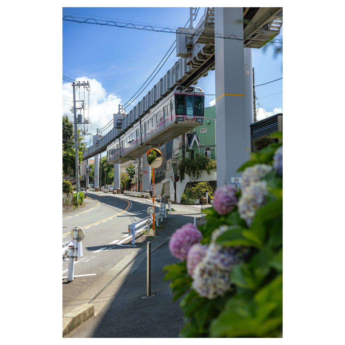 Tikuwa_Camera's tweet image. 