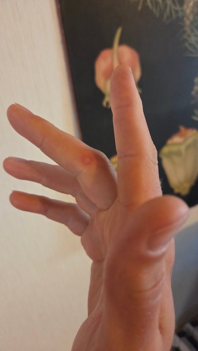 sulkahattu's tweet image. Joku vois sanoa että nyt on toimistotyöläinen ampunut liikaa Glockilla. Ite sanon että ennemmin ei riittävästi