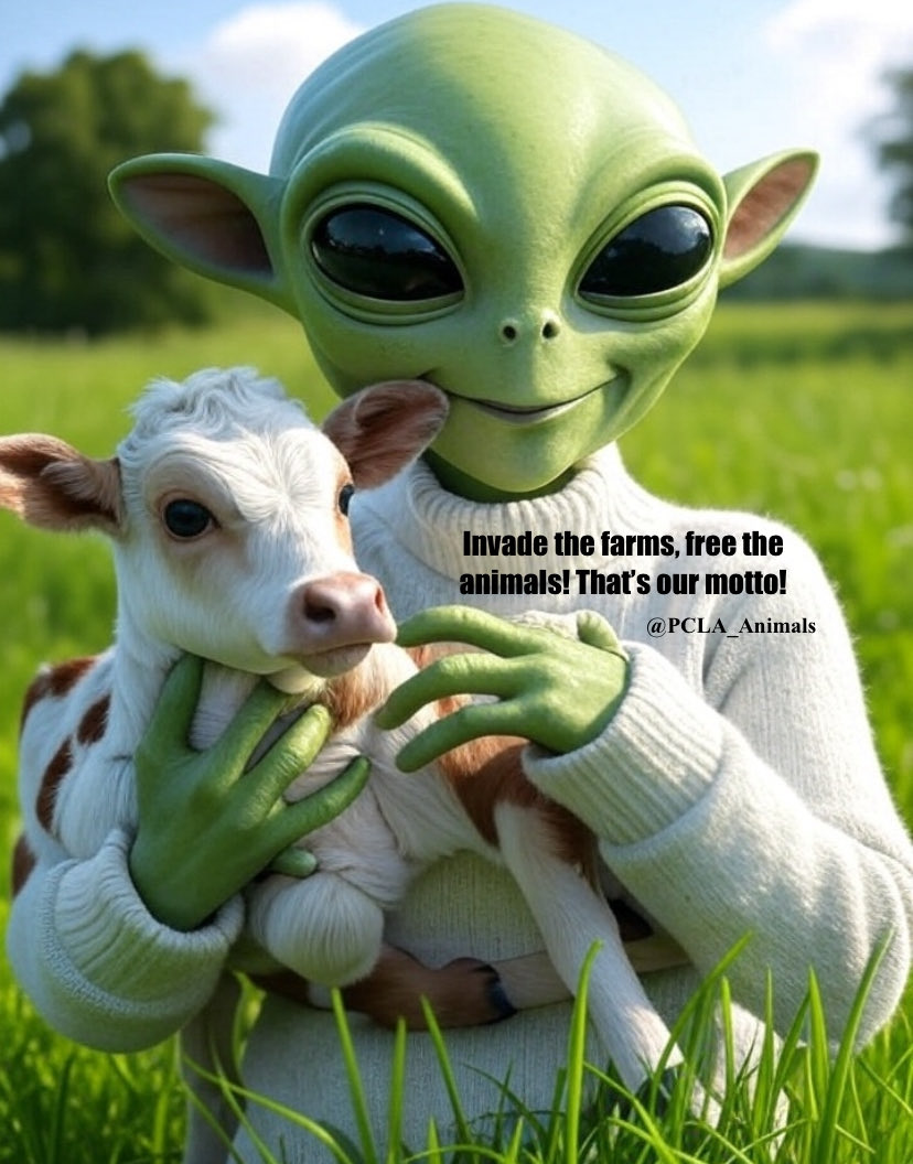 AnimalUnite's tweet image. If the aliens invade earth this November, as predicted, whether for real or via a false-flag event by the government, chaos will unfold & law enforcement will be overwhelmed, creating utter lawlessness: What does that mean? Go to your local enslavement farms and free the animals!