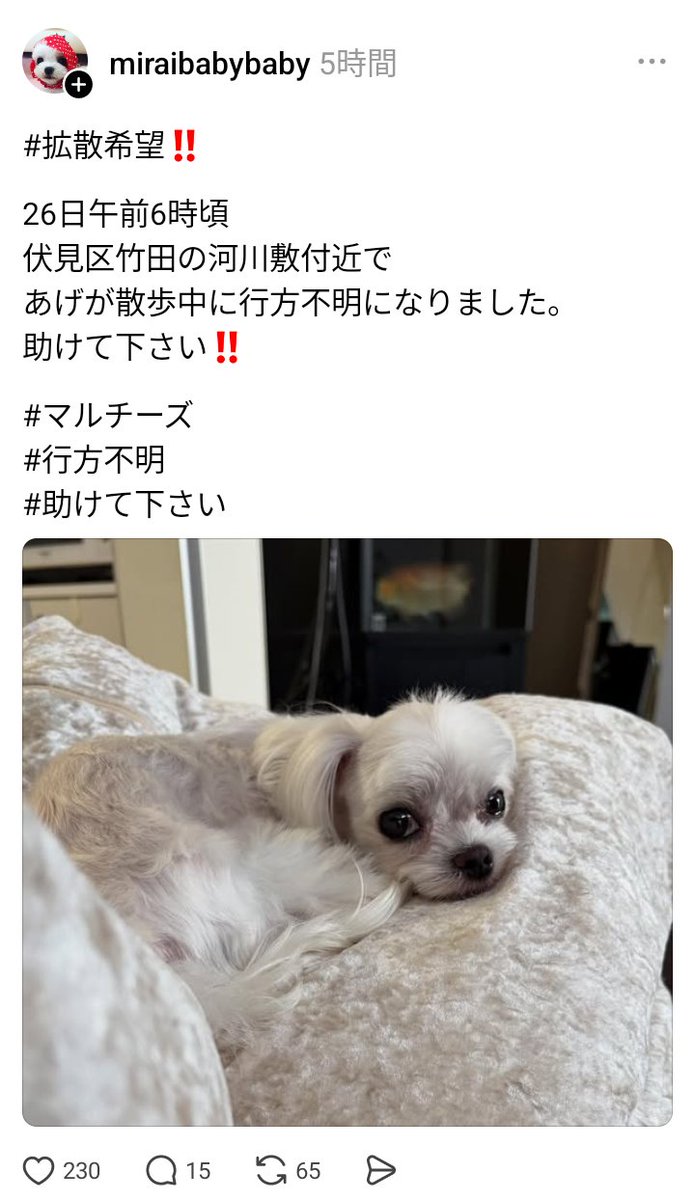 monon_11's tweet image. 
