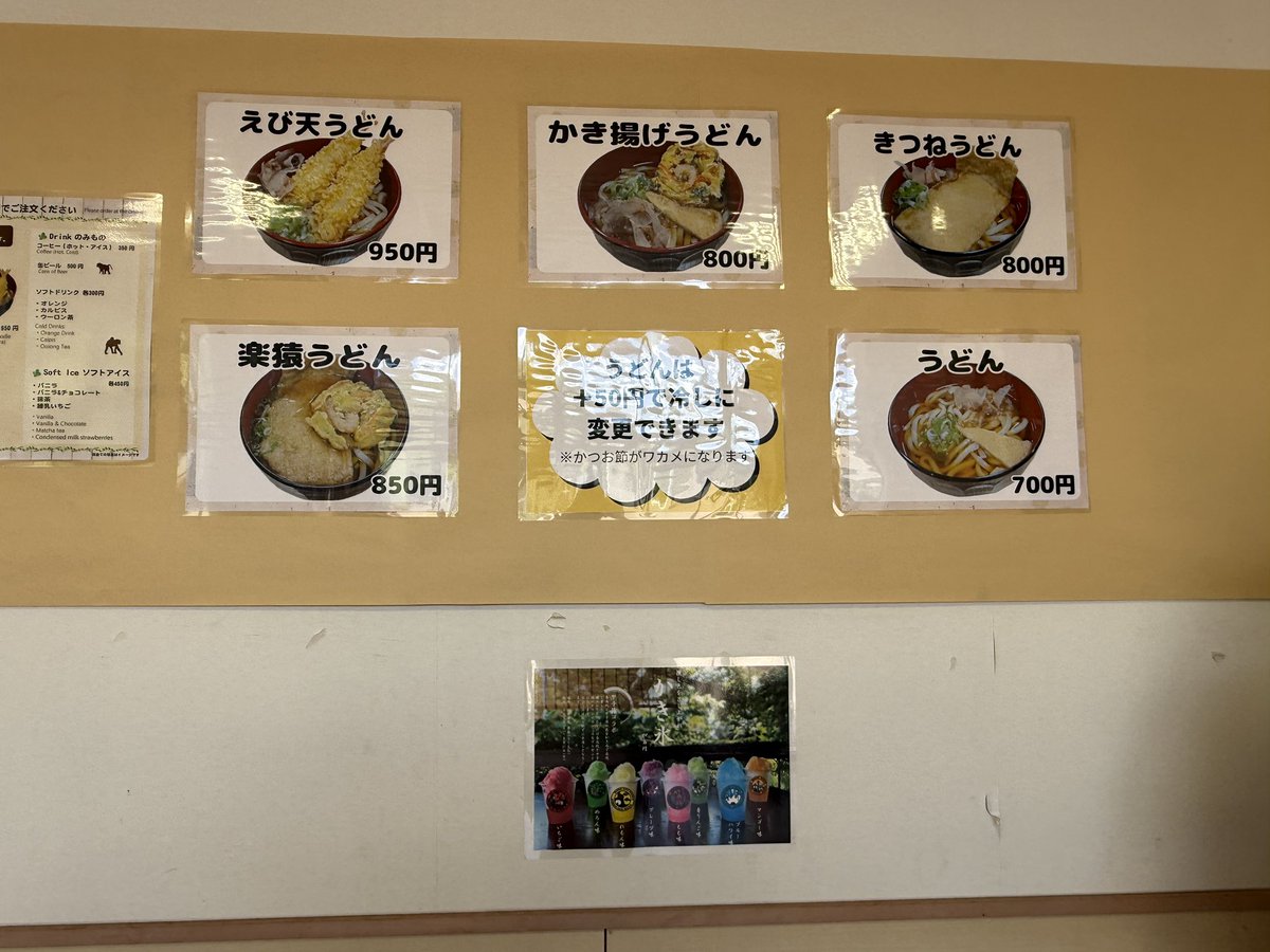 mikage292929's tweet image. #どうぶつえんの目シ
#日本モンキーセンター
#楽猿
いさぎよいまでの夏限定うどん屋仕様
暑い日はやっぱり冷たいおうどんが優勝だよね