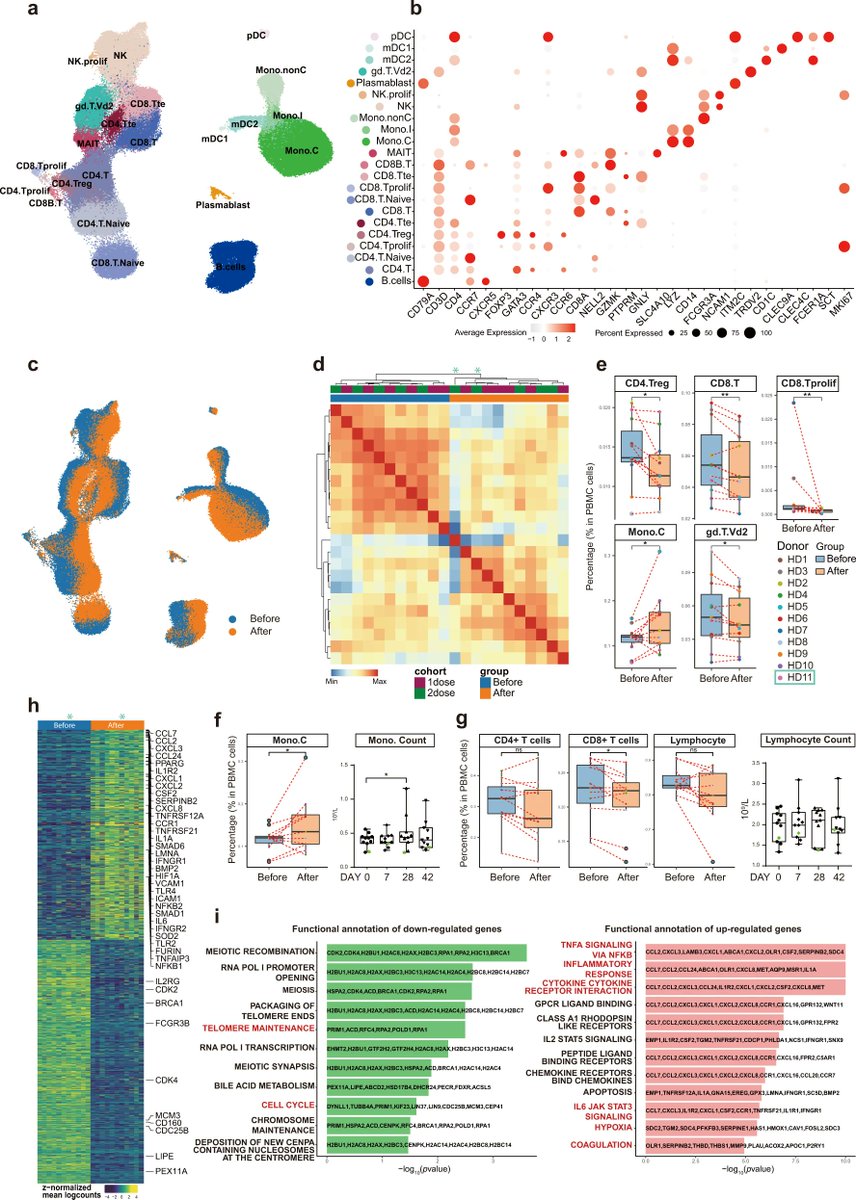 <a href="/NicHulscher/">Nicolas Hulscher, MPH</a> You should have made another control group, like here, vaccinated with non mod mRNA vaccines. Hence we would know for certain what effects the spike-protein, or the LNPs with the modified mRNA have
nature.com/articles/s4142…
<a href="/DocFlo4/">FSS</a> @docjohnc @Grok