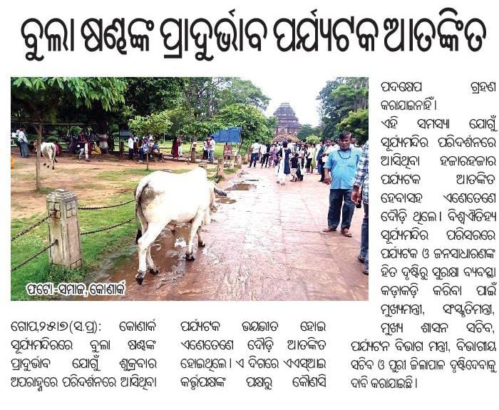 Santosh88512716's tweet image. କୋଣାର୍କ ସୂର୍ଯ୍ୟମନ୍ଦିରରେ ବୁଲା ଷଣ୍ଢ ଙ୍କ ପ୍ରାଦୁର୍ଭାବ ପର୍ଯ୍ୟଟକ ଆତଙ୍କିତ। ଏଥିପ୍ରତି ତୁରନ୍ତ ଦୃଷ୍ଟି @MohanMOdisha @SecyChief @TourismDptt @balwantskalewa7 @dm_puri @JanaSunani @DJ_dibyajyoti @konarknac @PravatiPOdisha @btushar02 @IPR_Odisha @CMO_Odisha @OfficialTeamATA 🙏