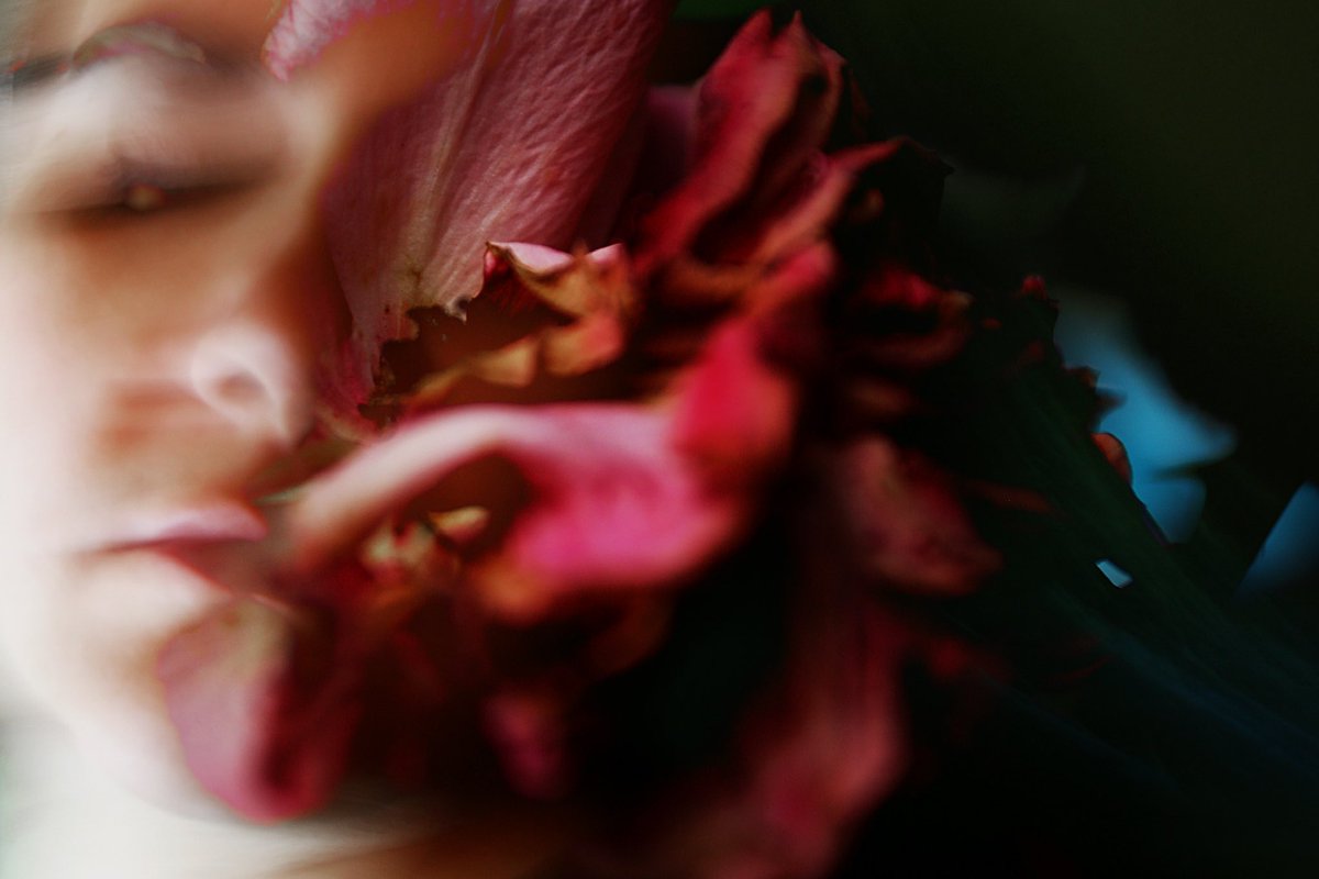 Good morning 🌬️🌹